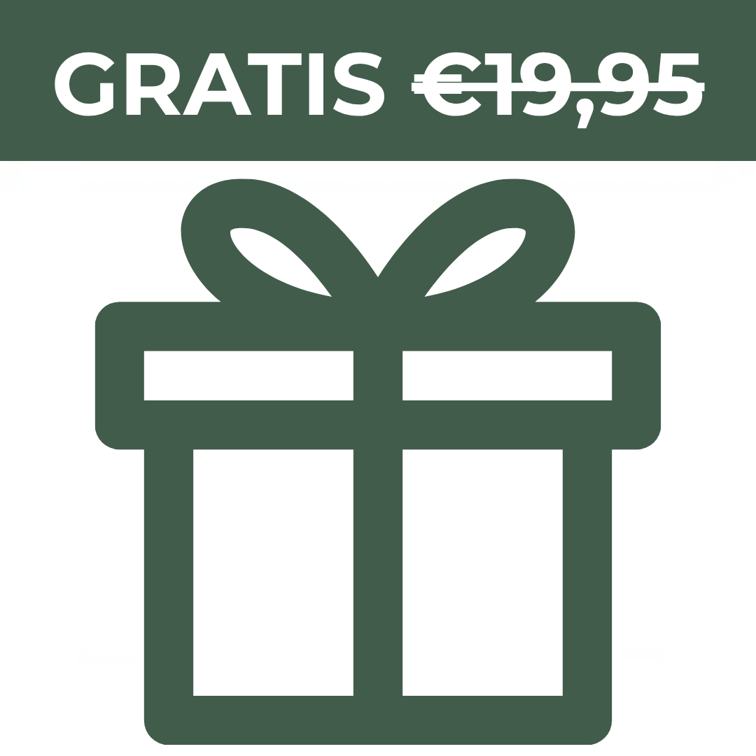Regalo Sorpresa