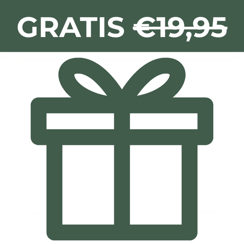 Regalo Sorpresa